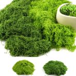 Yosun resimleri için 200 g suni yosun resmi 2 farklı yosun resmi dekoratif sanat yosun yapay yosun el işi için sahte dekoratif yosun duvar beşik akvaryum beşik model yapımı koyu yeşil 100 g + açık