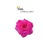 You, in Rahanni colors: 13 Days, 13 Chakras