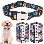 YOUALSO XS Küçük Orta Büyük Köpekler için Sevimli Köpek Tasması, Yumuşak Naylon Evcil Hayvan Yaka, 3D Baskı Çok Renkli Desenler Tasmalar Ayarlanabilir Köpekler Kız Erkek Yavru Köpek Yürüyüş Koşu Eğitimi (Siyah Anka Kuşu Çiçekleri M)
