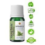 Young Souls 10 ml Aromaterapi Citronella Sitronella Uçucu Yağ