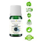 Young Souls 10 ml Aromaterapi Yengeç Burcu Uçucu Yağ Karışımı