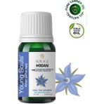 Young Souls Aromatherapy Borage Carrier Oil Hodan Bitkisel Taşıyıcı Yağ 10 ml