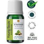 Young Souls Aromatherapy Horse Chestnut Carrier Oil At Kestanesi Bitkisel Sabit Yağ 10 ml