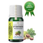 YOUNG SOULS Horse Chestnut Carrier Oil ( Cold Pressed ) At Kestanesi Bitkisel Taşıyıcı Yağ ( Soğuk Sıkım ) 10 ml