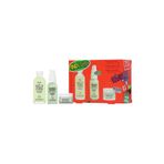 youth to the people Superfood - Yüz bakım seti 59 ml, 30 ml, 15 ml