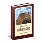 Yücelerde Bir Bardak Çay - Ahmet M. Ziylan