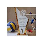 yucisaatleri HEDİYELİK PLAKET Voleybol /Basketbol /Futbol Turnuvalarına özel(Kişiye özel İsim yazılı)