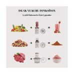 Yui M2001 3'ü 1 Arada 2 Kademeli Hız Ayarlı Rondo Seti Beyaz Rose