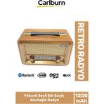 Yüksek Sesli Retro Şık Şarjlı Bluetooth Müzik Çalar USB Sd Aux Fm Radyo Nostaljik Müzik Kutusu - Renkli
