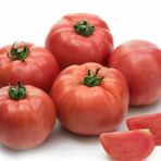Yüksek Verimli İri Beef Songül Sırık Pembe Domates Fidesi (5 Adet)