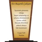 yüksel34 En Başarılı Çalışan Plaketi Ahşap Mdf Gold Levhaya Baskılı ,Kişiye Özel İsim Baskısı Yapılabilir