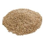 Yulaf Tohumu 1KG PAKETLERDE