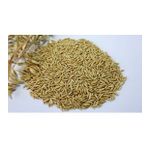 Yulaf Tohumu Kuş Yemi 500 Gr