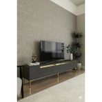 Yumedi Design TSA1805AG - Dünya Tv Stand , Tv Sehpası 180CM Antrasit-Gold - Antrasit - Altın