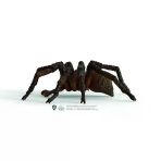 Yumurcak Toyz 13987 Schleich - Aragog - Harry Potter Serisi +3 Yaş Kız Erkek Çocuk Oyuncak Eğitici Oyuncaklar
