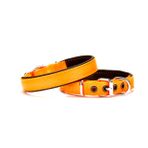 Yumuşak Doku Köpek Boyun Tasması 1,5/35 cm Tcu