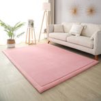 Yumuşak Mercan Kadife Halı Modern ve Yıkanabilir Yoga Egzersizi için İdeal Bebek Emekleme Oturma Odası Halısı Çocuk Başucu Mat 60x150 cm 2 cm Kalın