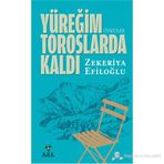 YÜREĞIM TOROSLARDA KALDI - ZEKERIYA EFILOĞLU