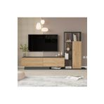 Yurudesign Blaze Tv Ünitesi Kapaklı Kitaplık Raf Sepet-Antrasit BE1-SA
