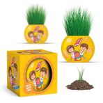 YUUP Okul Temalı Çim Adam 6'lı Set – Çocuklar İçin Eğitici ve Eğlenceli Bitki Yetiştirme Kiti