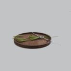 Yuvarlak 28cm Ahşap Servis Tepsisi - 1 Adet
