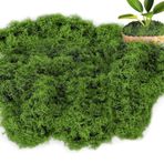 YUZHEDM Dekorasyon için yapay yosun, 100 g, koyu yeşil, naylon, suni yosun, el işi için, yapay yosun, el işi için, İzlanda yosunu, minyatür bahçe dekorasyonu için