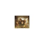 Yüzüklerin Efendisi: Yüzük Kardeşliği (3 CD) ( VCD )