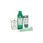 Yves Rocher Pure Menthe Karma,Yağlı, Gözenek Tıkanıklığı Bitkisel Kömür Maske 75ml