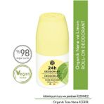 Yves Rocher Ter Kokusu Önleyici 24 Saat Etkili Kadın-Erkek Roll-On Deodorant- Organik Nane&Limon-57136 - 50 ml
