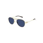 Yves Saint Laurent Unisex SL 708 005 Güneş Gözlüğü, Tek Ebat, 889652516509, Mavi, üniseks-yetişkin