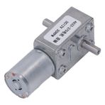 YWBL-WH DC Azaltma Motoru, DC 12V Hız Azaltma Elektrik Motoru Çift Şaftlı Dişli Motor Mini Mikro Metal Dişli Motor, Fan Motorları (30RPM)