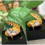 Yzhome 1 Adet Metal Istiridye Sunumluk Kahve Yanı Lokumluk - Gold