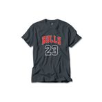 Z zepplin Chicago Bulls 23 Füme Tişört