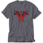 Z zepplin Chicago Bulls Shoes Gri Tişört - M