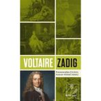 Zadig&Voltaire 101134777001 Gümüş Etek