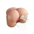 ZAGA OYUN 241077754708 Realistik Anal Vajinal Sesli İleri Geri Hareketli Emişli Ve Titreşimli Suni Kalça Vajina 3.2 Kg