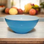 Zambak Plastik Zambak Elegant Çift Renkli Kase 3 Lt ZP 504
