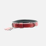 Zampa Classic 42 cm Kırmızı Köpek Boyun Tasması