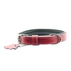 Zampa Tribeca 2.5x47 cm Yumuşak Dokulu Gerçek Deri Köpek Tasması