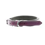 ZAMPA Zampa Yumuşak Dokulu Gerçek Deri Soho Köpek Boyun Tasması 2x42 cm BORDO