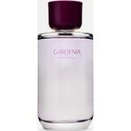Zara Gardenia Eau De Parfum 180 Ml (6,0) ( CNK )