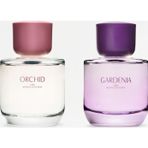 Zara Gardenia Edp 90 Ml Orchıd Edp 90 Ml (3.0 Fl. Oz) Kadın Parfüm ( CNK )
