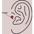 Zarif Kadın için Silver Çelik Zirkonlu Toplu İğne Tragus Piercing