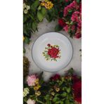 Zarifinci 6 LI SET Emaye Muhallebi Tabak 20 Cm Desenli Yemek Kahvaltı Tabak Desenli Salata Cips Tabak Kase