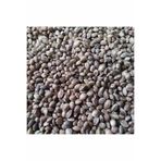 Zbd Kenevir Tohumu 100 gr P1447S6685