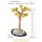 Zebercet (Peridot) Taşı Ağaç - Akik Plakalı obje