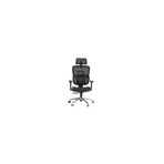 Zec Ofis Venice Profesyonel Premium Yönetici Koltuğu | Ergonomik | 4D Kolçak | Ortopedik Bel Desteği Siyah
