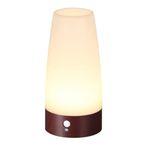 ZEEFO Retro LED Gece Lambası PIR Hareket Sensörü Işığı, Aktif Adım Aydınlatma Lambaları, İç Mekan/Dış Mekan Pille Çalışan Işığa Duyarlı Taşınabilir Hareketli Masa Lambası Çocuk Odası, Koridor