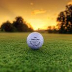Zek Upp Zekupp 3 Adet Profesyonel Golf Toplu Ahşap Kutulu El Yapımı Golf Seti, Erkek İçin Hediye Fikirleri 6 Adet Tee, Profesyonel Golf Aksesuarları (
