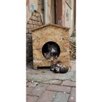 zekimöble Kedi Yuvası Evi Kurulu Sekilde Teslim Kaskolu Garantilidir.